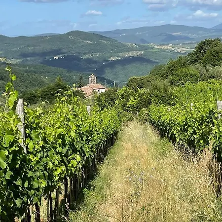 Podere Querceto