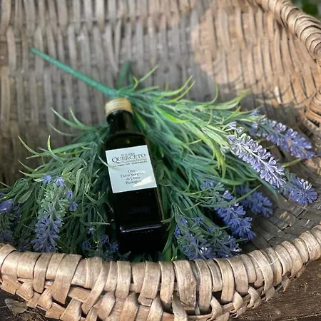Podere Querceto