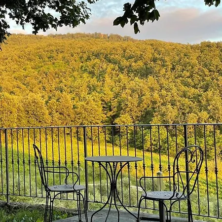 Podere Querceto Bed and Breakfast Borselli